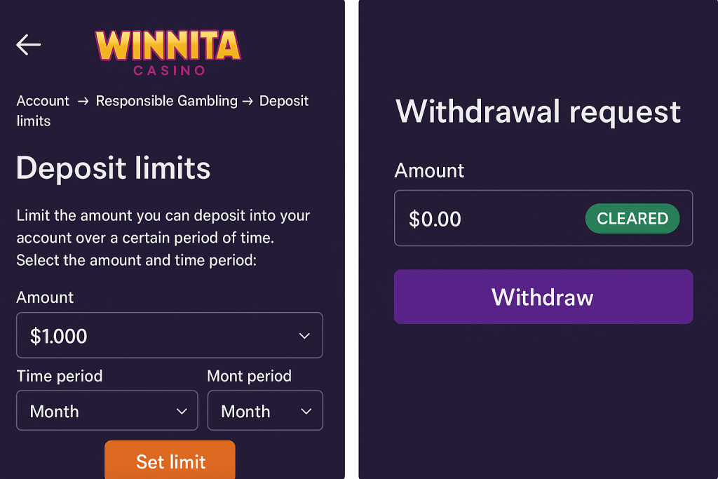 Winnita casino withdrawal request